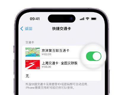 杜尔伯特apple维修点分享iPhone上更换Apple Pay快捷交通卡手绘卡面 