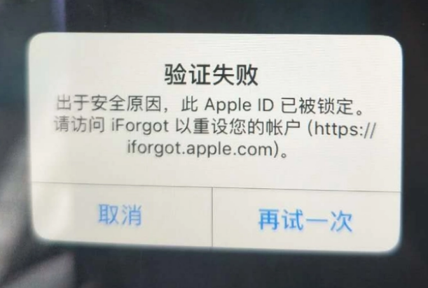 杜尔伯特iPhone维修分享iPhone上正常登录或使用AppleID怎么办 