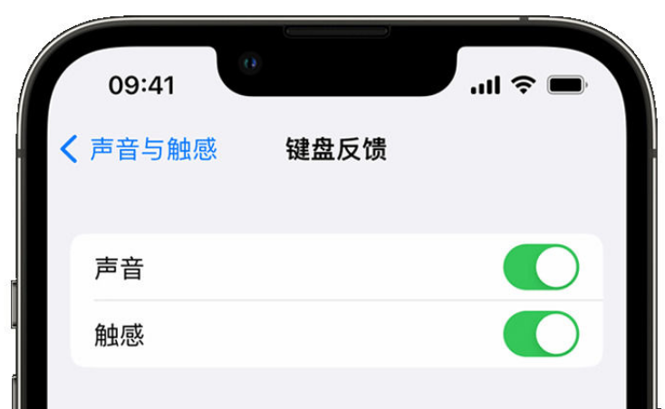 杜尔伯特苹果手机维修分享iPhone 14触感键盘使用方法 