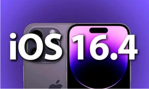 杜尔伯特苹果14维修分享：iPhone14可以升级iOS16.4beta2吗？ 