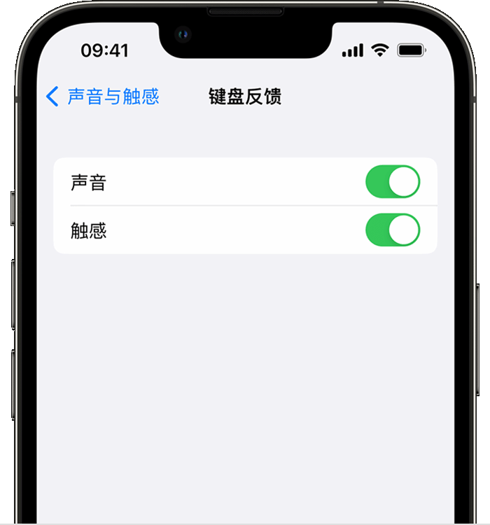 杜尔伯特苹果14维修店分享如何在 iPhone 14 机型中使用触感键盘 