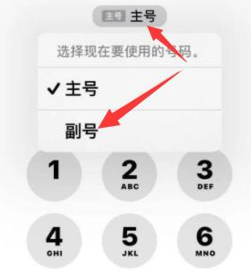 杜尔伯特苹果14维修店分享iPhone 14 Pro Max使用副卡打电话的方法 