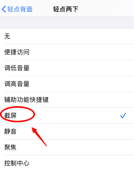 杜尔伯特苹果手机维修分享iPhone12如何启用双击截屏 